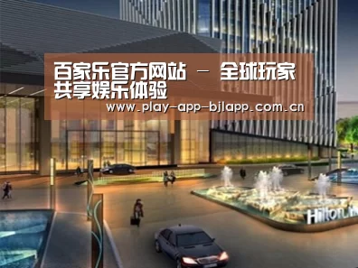 案例展示二