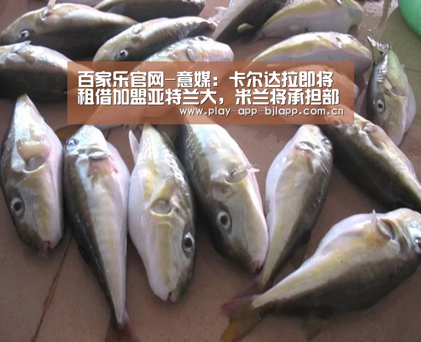 百家乐官网-意媒:卡尔达拉即将租借加盟亚特兰大,米兰将承担部分薪水(图4) 百家乐官网